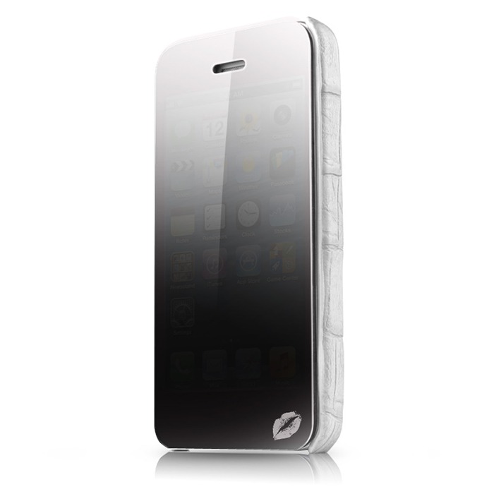  -  iPhone 5  iPhone 5s Itsikns Lipstick  c  