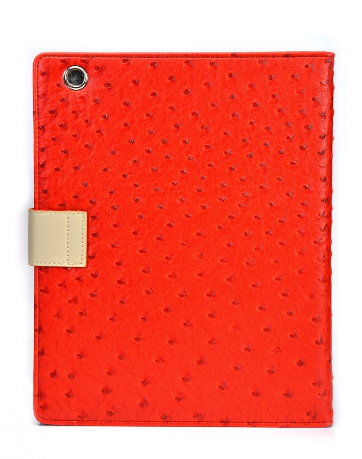  -  iPad  " "