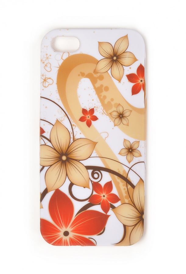    iPhone 5  iPhone 5s   